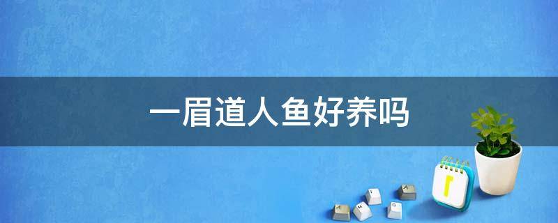 一眉道人鱼好养吗 一眉道人鱼好养吗水温多少