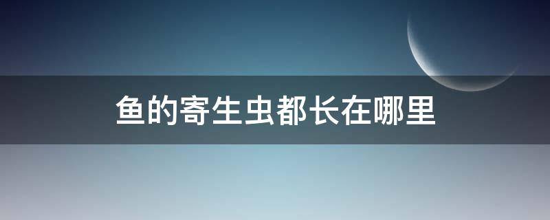 鱼的寄生虫都长在哪里 鱼的寄生虫一般长在哪里