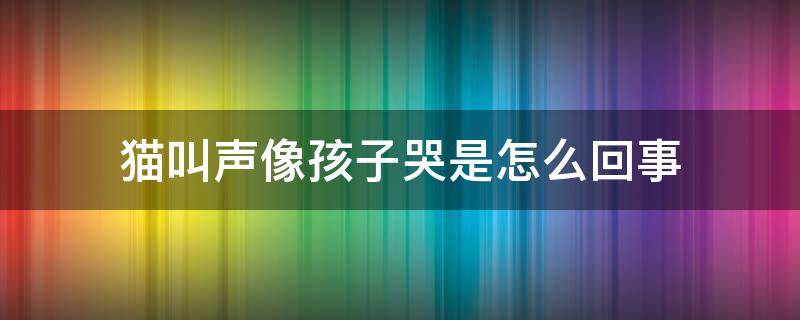 猫叫声像孩子哭是怎么回事 小猫叫的像孩子哭声一样怎么回事