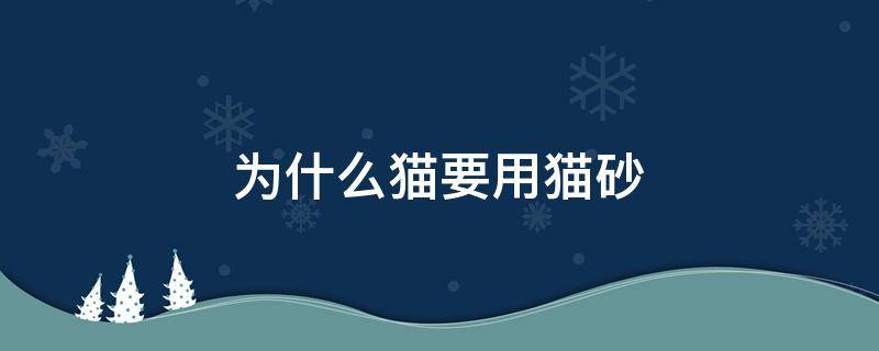 为什么猫要用猫砂 为什么猫知道用猫砂