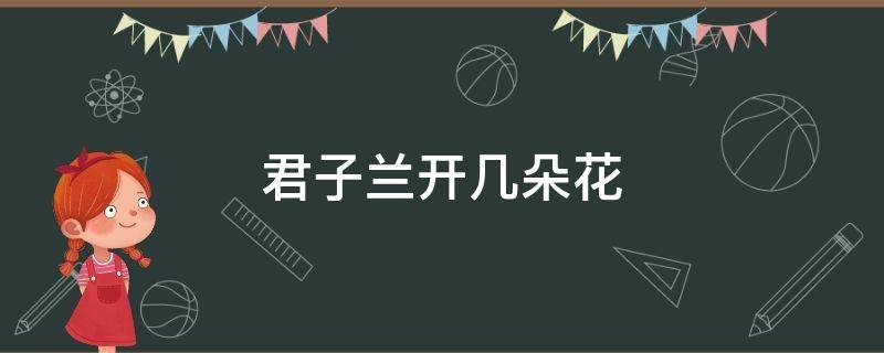 君子兰开几朵花（君子兰开几朵花12朵什么寓意）