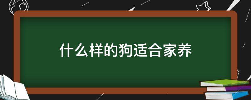 什么样的狗适合家养 什么样的狗最好适合家养