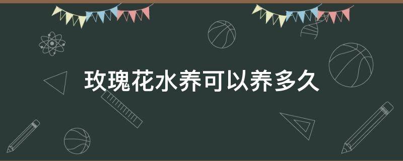 玫瑰花水养可以养多久（水养玫瑰怎么养的时间长）