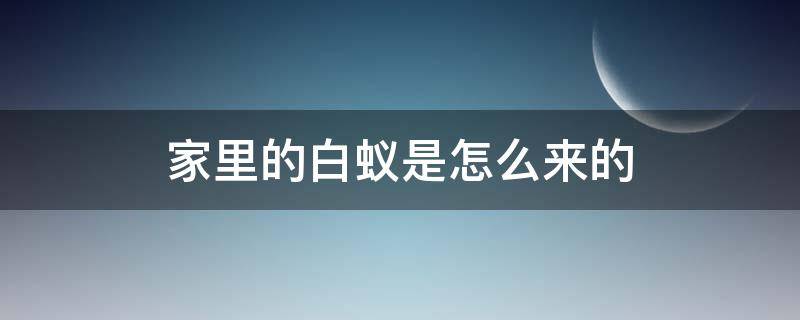 家里的白蚁是怎么来的 家里为什么会有白蚁是从哪里来的