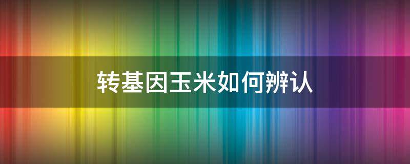 转基因玉米如何辨认（玉米如何分辨转基因）