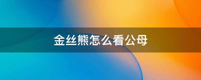 金丝熊怎么看公母 金丝熊怎么看公母啊