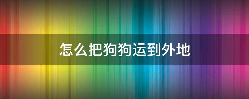 怎么把狗狗运到外地 狗狗运到外地最好的办法