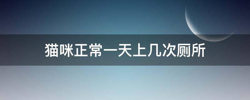 猫咪正常一天上几次厕所 猫咪一天上多少次厕所才算正常