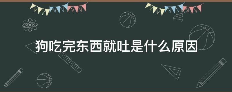 狗吃完东西就吐是什么原因 狗狗吃完东西就吐是什么原因