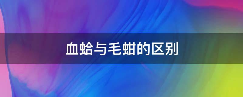 血蛤与毛蚶的区别 蛤蜊和血蚶