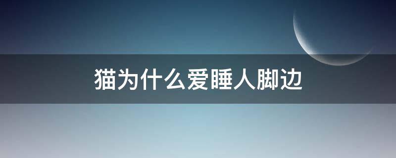 猫为什么爱睡人脚边 猫为什么喜欢睡人脚下