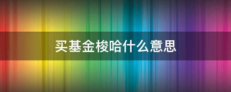 买基金梭哈什么意思 买基金梭哈是什么意思