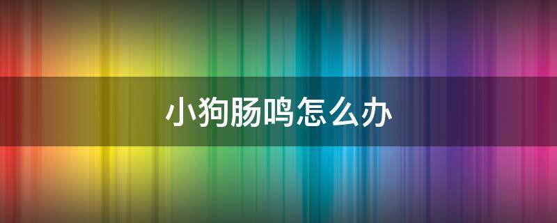 小狗肠鸣怎么办（狗狗肠鸣音很大很频繁怎么办）