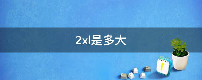 2xl是多大 2xl是多大体重