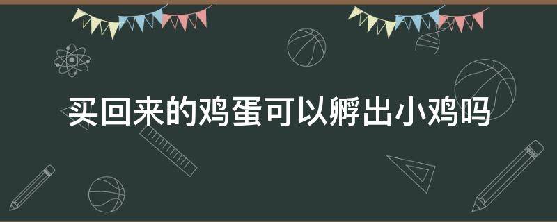 买回来的鸡蛋可以孵出小鸡吗（买来的鸡蛋可以孵小鸡吗?）