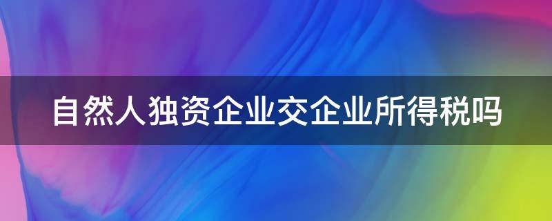 自然人独资企业交企业所得税吗（自然人独资企业交什么所得税）