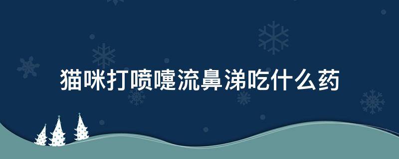 猫咪打喷嚏流鼻涕吃什么药 猫咪打喷嚏流鼻涕吃什么药效果好