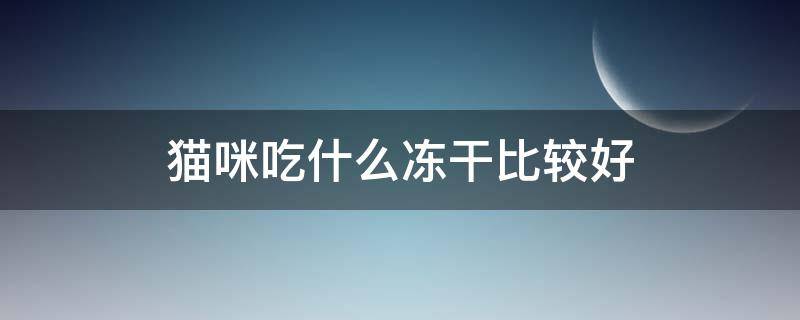 猫咪吃什么冻干比较好（猫咪吃哪种冻干最好）