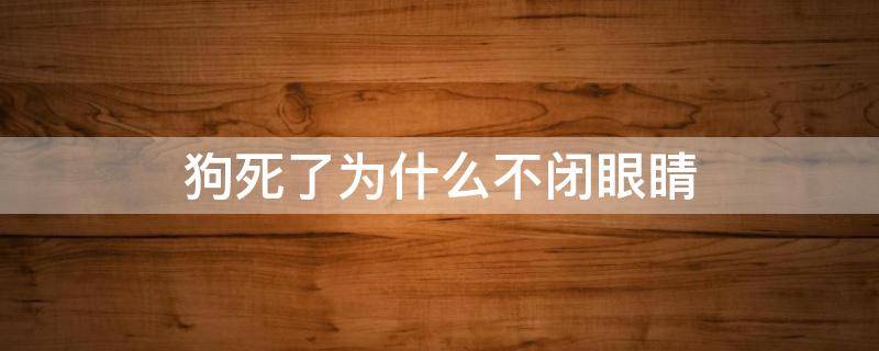 狗死了为什么不闭眼睛（狗死了闭不上眼睛）