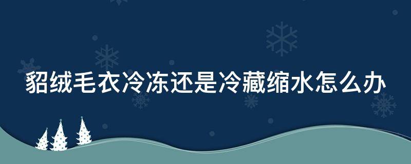 貂绒毛衣冷冻还是冷藏缩水怎么办（貂绒毛衣冷冻还是冷藏缩水怎么办视频）