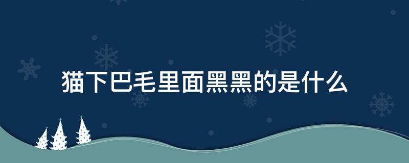 猫下巴毛里面黑黑的是什么 猫的下巴毛里有黑色的是什么