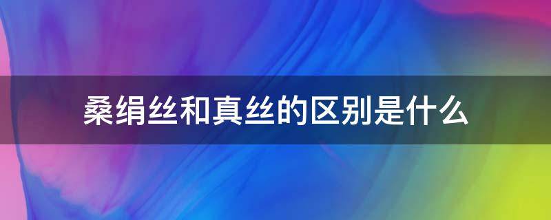 桑绢丝和真丝的区别是什么 绢丝属于桑蚕丝吗