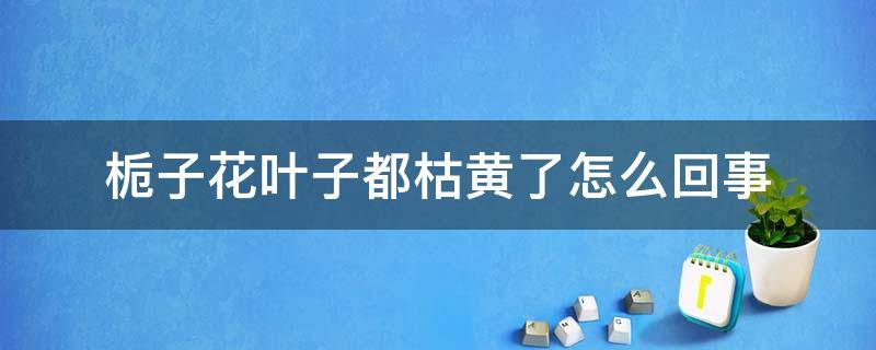 栀子花叶子都枯黄了怎么回事 栀子花叶子枯黄是怎么回事