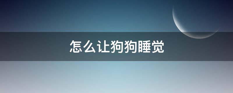 怎么让狗狗睡觉 怎样能让狗狗睡觉