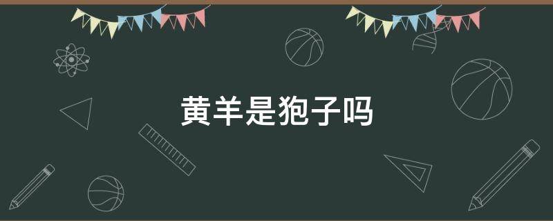 黄羊是狍子吗 狍子和黄羊是一种动物吗