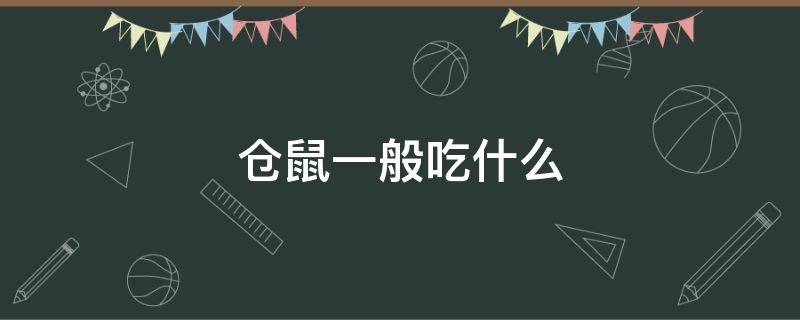 仓鼠一般吃什么 仓鼠一般吃什么东西