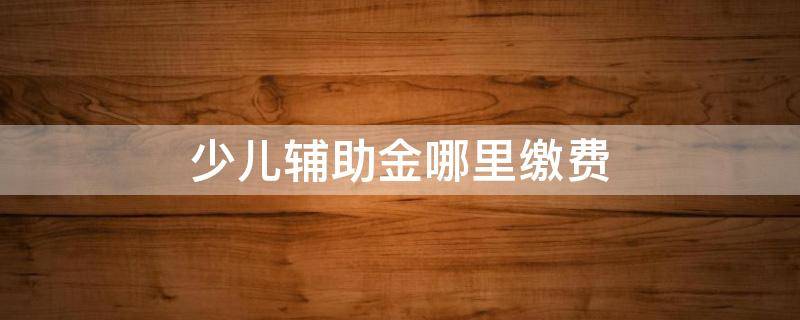 少儿辅助金哪里缴费（少儿互助金在哪个app购买）