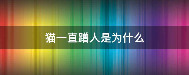 猫一直蹭人是为什么 猫总是蹭人是什么原因