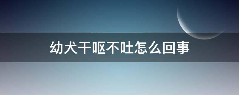 幼犬干呕不吐怎么回事 幼犬反胃干呕又吐不出来是什么情况