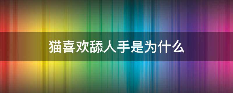 猫喜欢舔人手是为什么 猫为啥喜欢舔人手