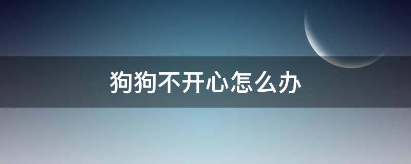 狗狗不开心怎么办 狗狗总是不开心的样子怎么办