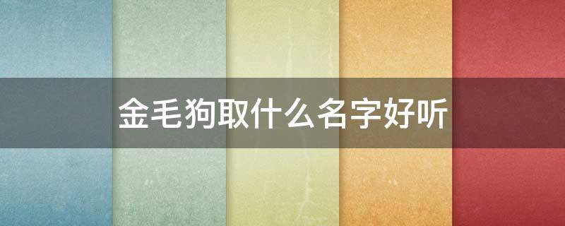 金毛狗取什么名字好听 金毛狗取什么名字最好听