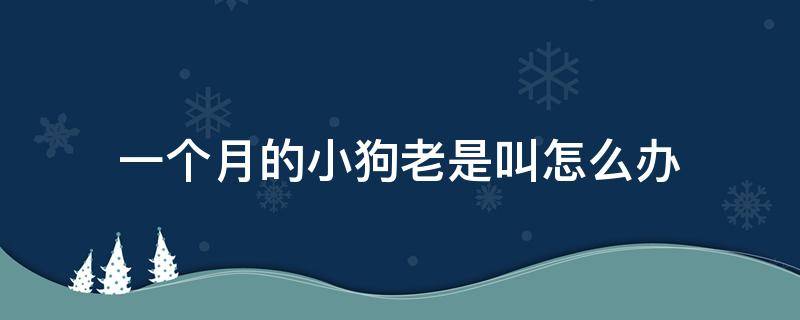 一个月的小狗老是叫怎么办 一个月大的小狗一直叫怎么回事