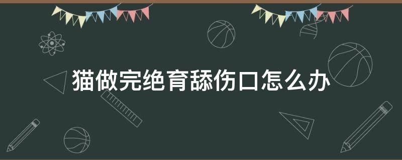 猫做完绝育舔伤口怎么办（猫做完绝育后舔了伤口怎么办）