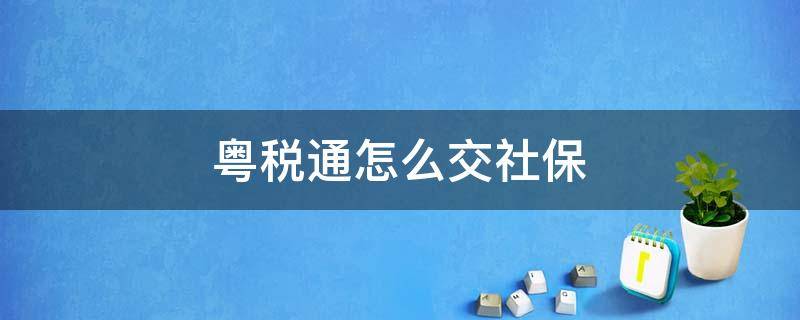 粤税通怎么交社保（粤税通怎样交社保）