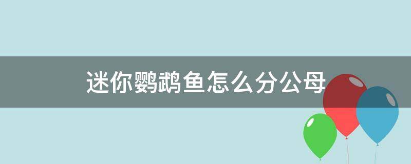 迷你鹦鹉鱼怎么分公母 迷你鹦鹉鱼怎么分公母?