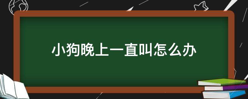 小狗晚上一直叫怎么办 刚抱的小狗晚上一直叫怎么办