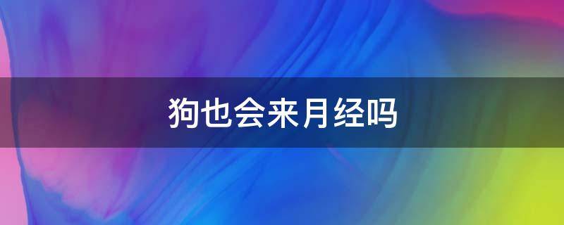 狗也会来月经吗 狗会来月经的吗