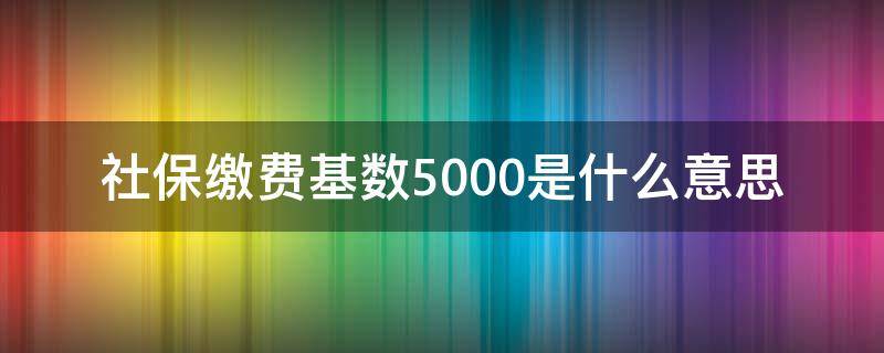 社保缴费基数5000是什么意思（社保基数5000缴费多少）