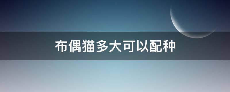 布偶猫多大可以配种 布偶猫多大可以配种布偶猫配种注意事项这么多