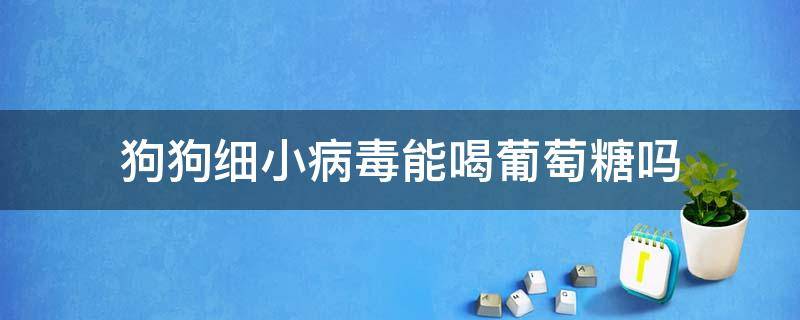 狗狗细小病毒能喝葡萄糖吗（狗得了细小病毒能喂葡萄糖吗）