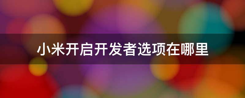 小米开启开发者选项在哪里 小米的开启开发者选项在哪