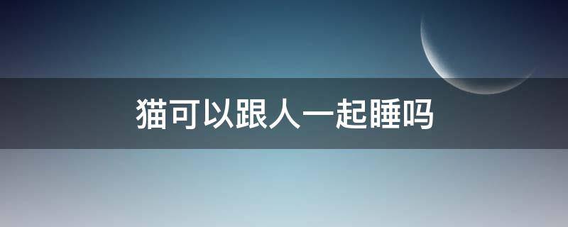 猫可以跟人一起睡吗 猫可以和人一起睡吗