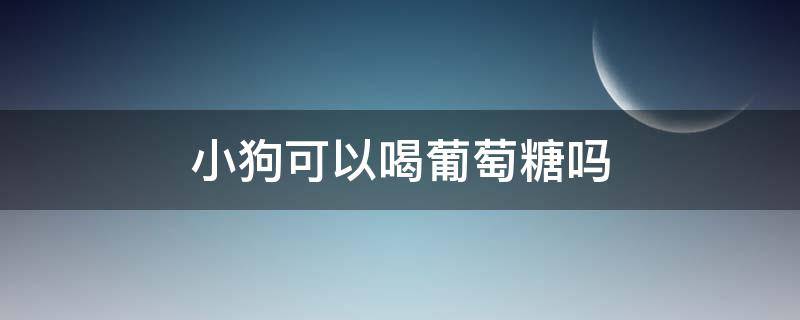 小狗可以喝葡萄糖吗 小狗可以直接喝葡萄糖吗