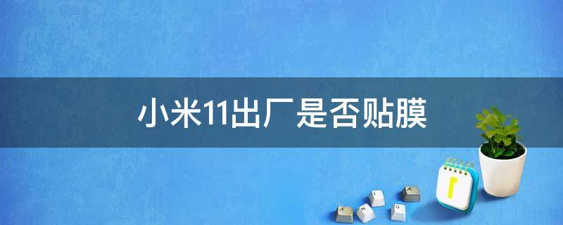 小米11出厂是否贴膜（小米11出厂是否有贴膜）