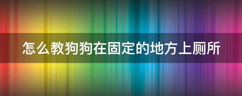 怎么教狗狗在固定的地方上厕所 怎么教狗在固定的地方大小便